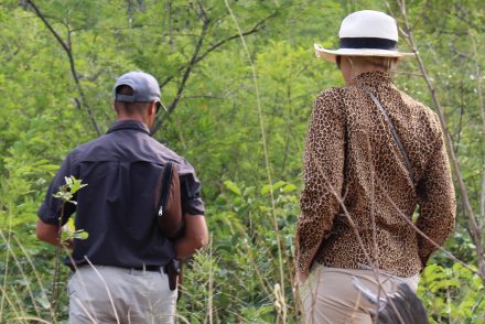 Marataba Safari Lodge game drive