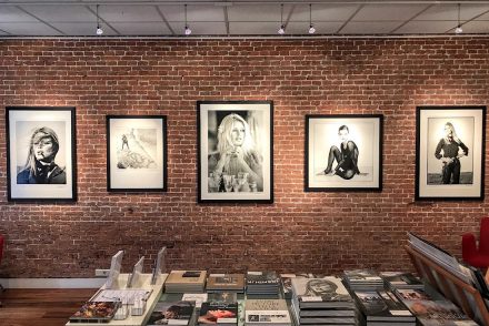 Terry O'Neill planting gallery